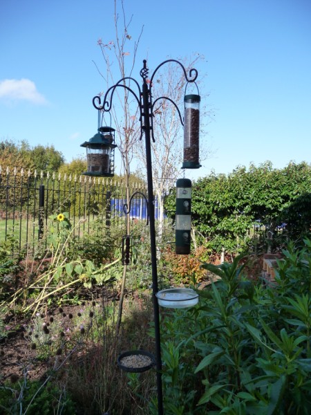 bird_feeder